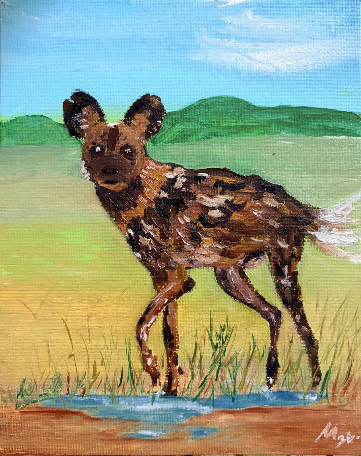 African wild dog