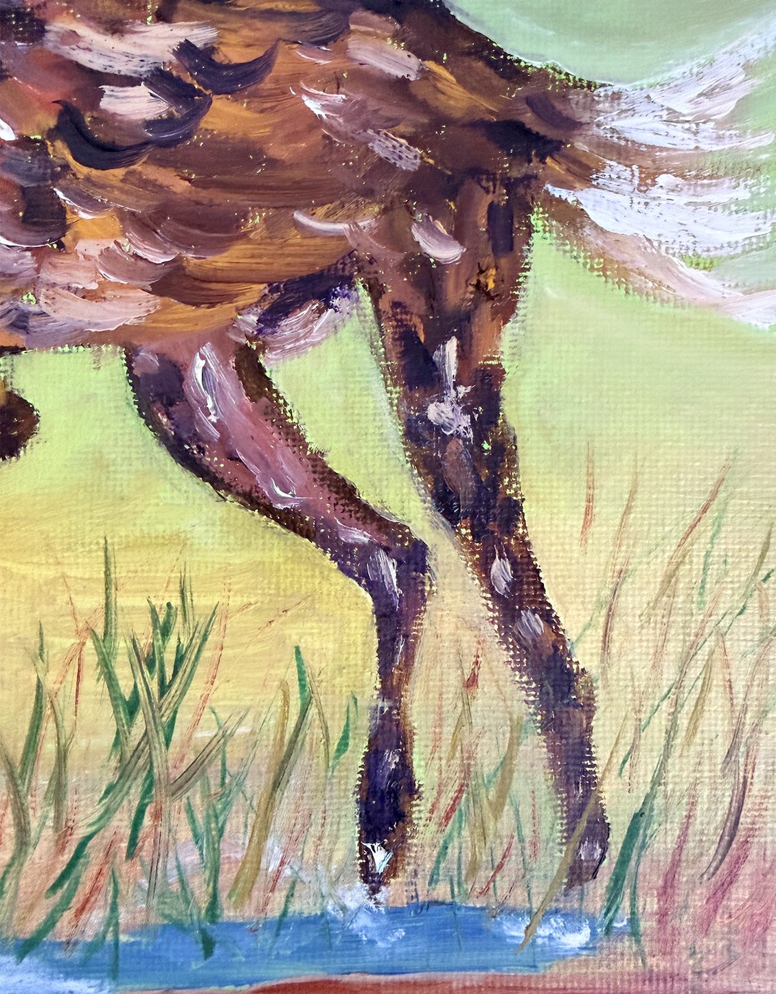 African wild dog — detail
